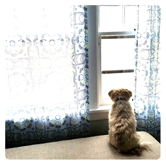 Meet your Posher, Ronna - Picture 1 of 3